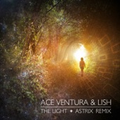 The Light (Astrix Remix) artwork