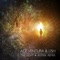 The Light (Astrix Remix) artwork
