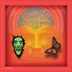 John Peel Sessions (2014 Remaster) - The Chameleons