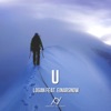 U (feat. EinarSnow) - Single