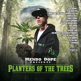 Speakin' Truths (feat. Prezident Brown & Ras Indio) Mendo Dope