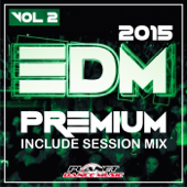 EDM Premium 2015, Vol. 2.