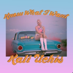 Know What I Want - Single