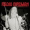 Descent into the Maelstrom - Radio Birdman lyrics