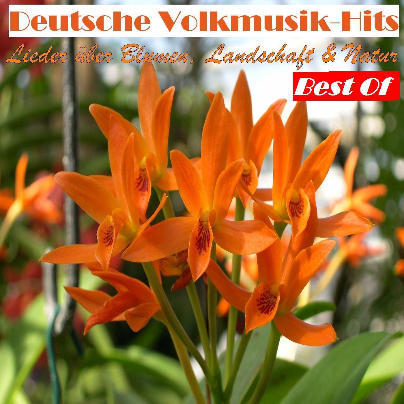 Deutsche Volksmusik Hits: Lieder über Blumen, Landschaft & Natur - Best Of
