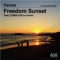 Freedom Sunset (616 Remix) - Fencer lyrics