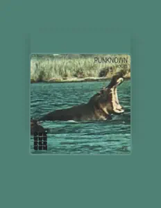聆聽 Punknown、觀看音樂影片、閱讀小傳、查看巡演日期等！