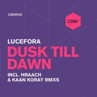 Dusk Till Dawn - Single - Lucefora