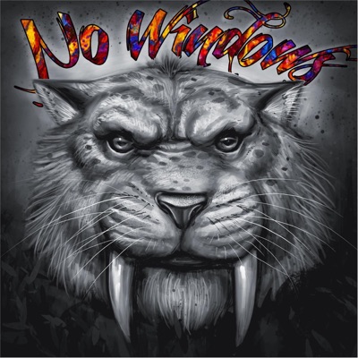 No Windows