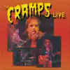 The Cramps - Primitive (Live in Belgium 8/07/2006)