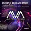 Healing Rain (Bryan Kearney Remix)