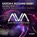 Healing Rain (Bryan Kearney Remix)