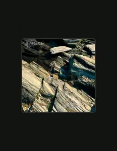 收听 Seafloor、观看音乐视频、阅读小传、查看巡演日期等 ！