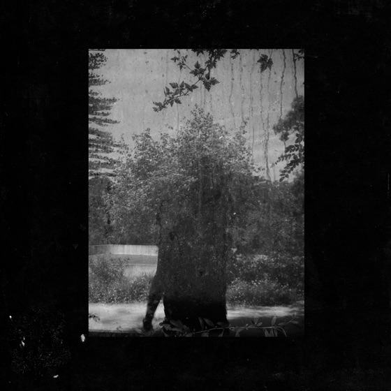 Cover artwork for Clearing