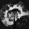 Curlews - Grasscut lyrics