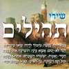 אלישבע שומרון - תהלים קט"ז – כוס ישועות