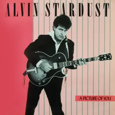 A Picture of You - Alvin Stardust