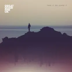 Take It or Leave It - Single - Great Good Fine Ok Take It or Leave It - Single - Great Good Fine Ok
