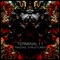 Reconfiguration - Terminal 11 lyrics