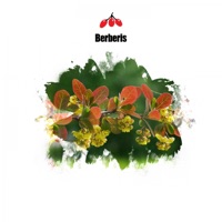 Senza EP - Bassel Darwish