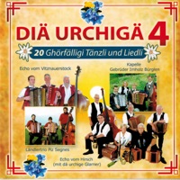 Ländlertrio Piz Segnes - Tessiner Ferien