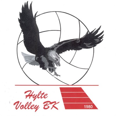 Hylte Volley (feat. Dan-Inge_Bengtsson, Peter_Z_Bergwall, Mathias_Johansson & Mikael_Thiger) [80% Lithium & 20% JAB joined forces] - Single