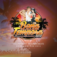 Bona Tempora 2015 Feat. Benjamin Beats - Single - Celerity