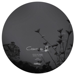 Cosmos