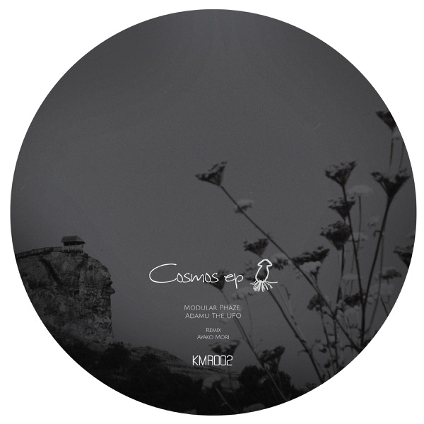 Cosmos