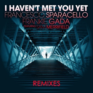 I Haven't Met You Yet (Remixes) [feat. Sam Merrifield] - Single