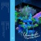 Accela Rush - Yamaneko lyrics
