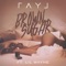 Brown Sugar (feat. Lil Wayne) - Ray J lyrics