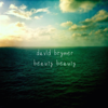 Beauty Beauty - David Brymer
