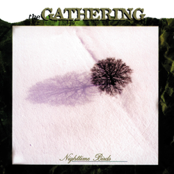 Nighttime Birds - The Gathering Cover Art