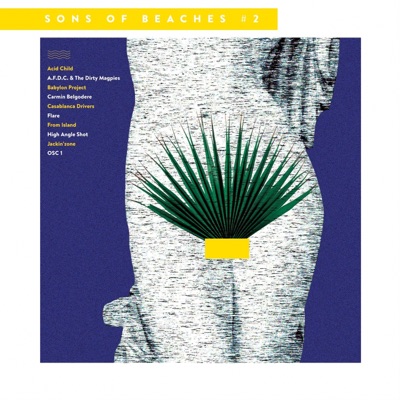 Sons of Beaches, Vol. 2