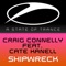 Shipwreck (feat. Cate Kanell) [Radio Edit] - Craig Connelly lyrics