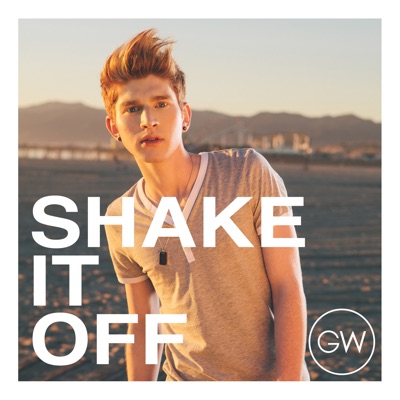 Shake It Off - Single