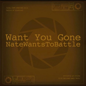 Want You Gone - Single