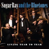 Sugar Ray & The Bluetones - Hungry But Happy