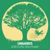 Chimarruts - Sinto a Liberdade