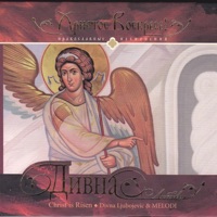 Divna Ljubojević - In Flesh Thou Didst Fall Asleep / Плотию уснув