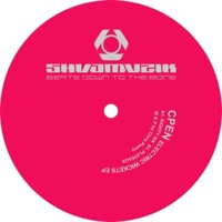 Electric Wickets - Single - Cpen