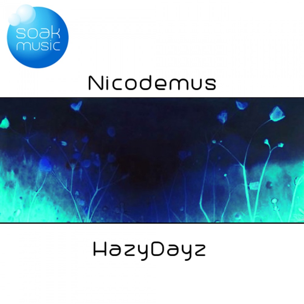 Обложка альбома «HazyDayz - Single» — Nicodemus