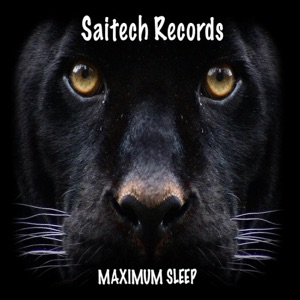 Maximum Sleep - Single