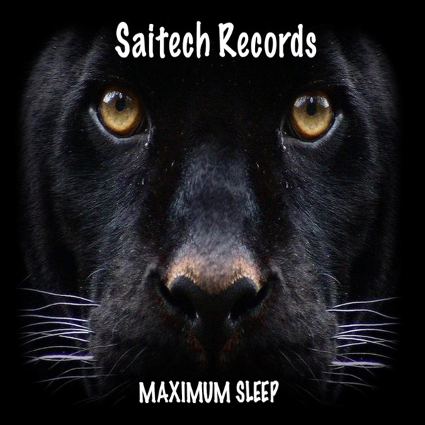 Maximum Sleep - Single