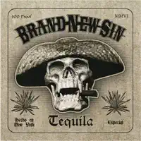 House of the Rising Sun — Brand New Sin