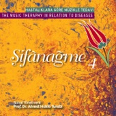 Şifânağme 4: The Music Theraphy in Relation to Diseases artwork
