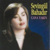 Şehir Kabristanı