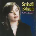 Şehir Kabristanı