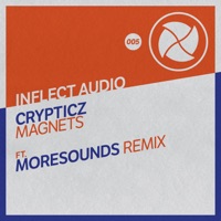 Magnets - Single - Crypticz